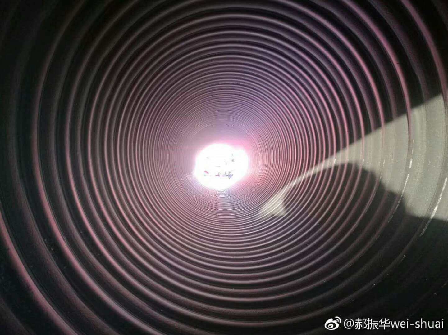  ¶ĘĘ