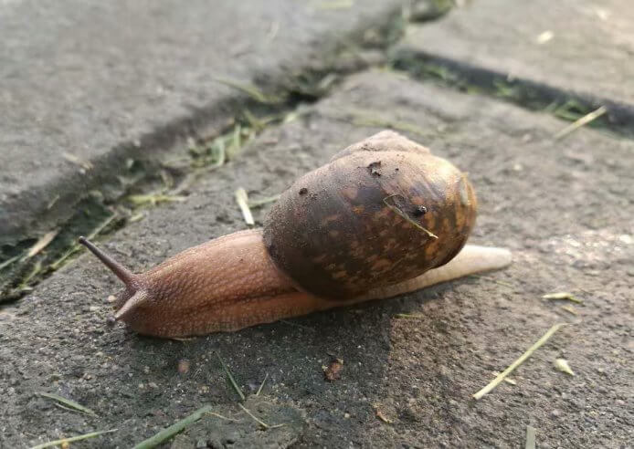 Mɳӵ۾һI˵ϣ